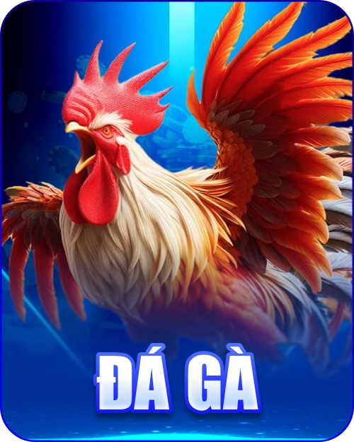 đá gà